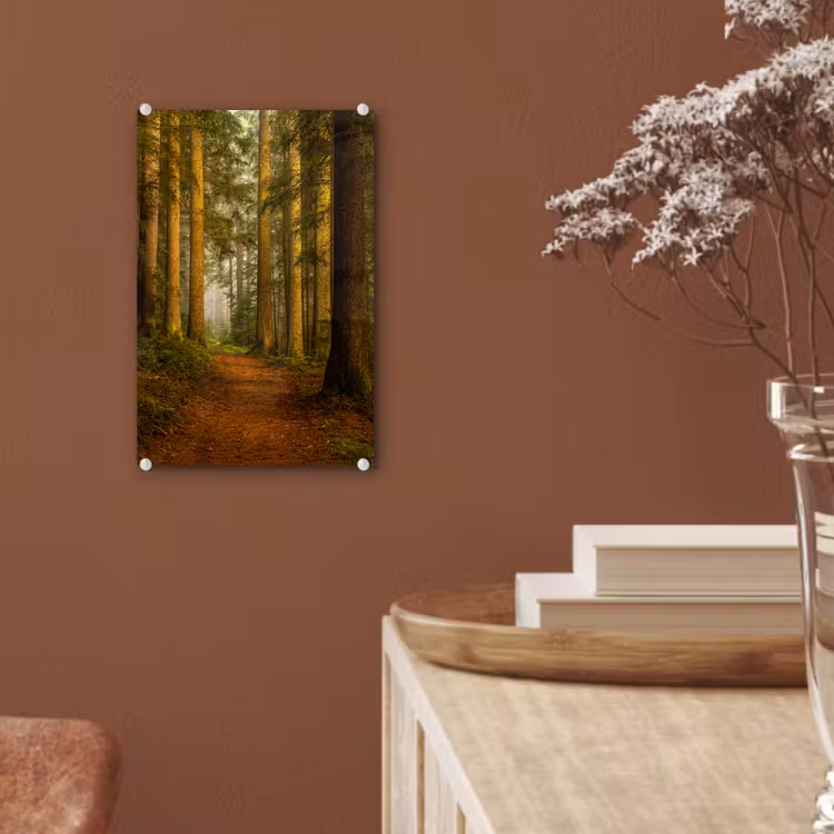 Glas schilderij - Bos - Natuur - Bomen - Landschap - Bladeren — 6