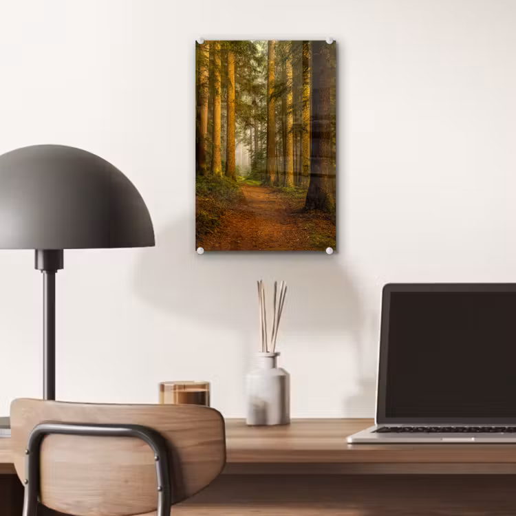 Glas schilderij - Bos - Natuur - Bomen - Landschap - Bladeren — 7