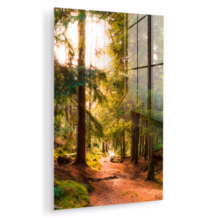 Glas schilderij - Bos - Pad - Bomen - Groen - Zon - Natuur — 1