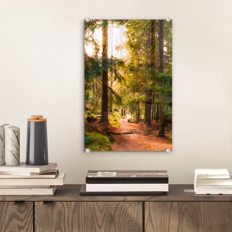 Glas schilderij - Bos - Pad - Bomen - Groen - Zon - Natuur — 2