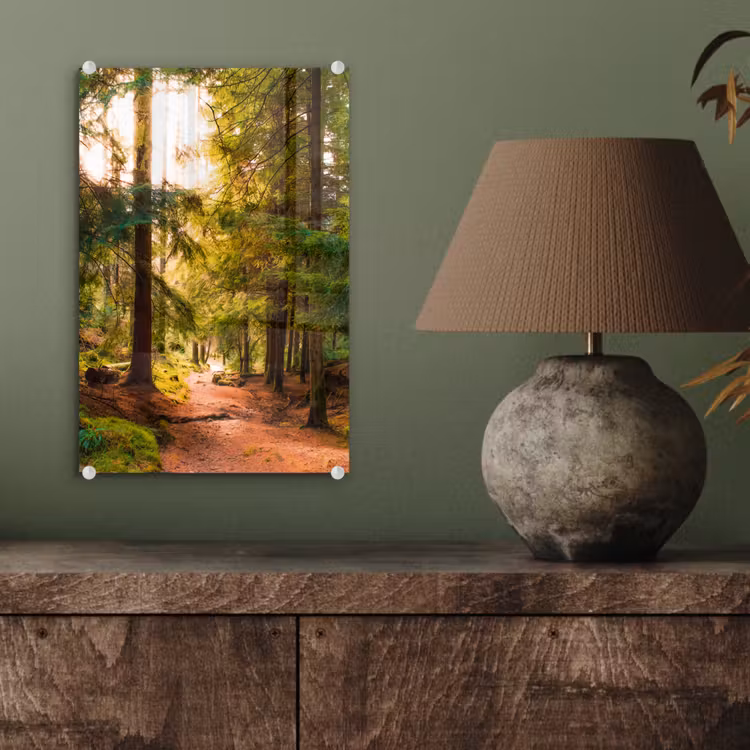 Glas schilderij - Bos - Pad - Bomen - Groen - Zon - Natuur — 4