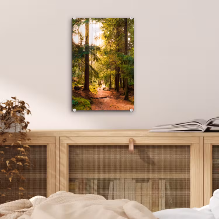 Glas schilderij - Bos - Pad - Bomen - Groen - Zon - Natuur — 5