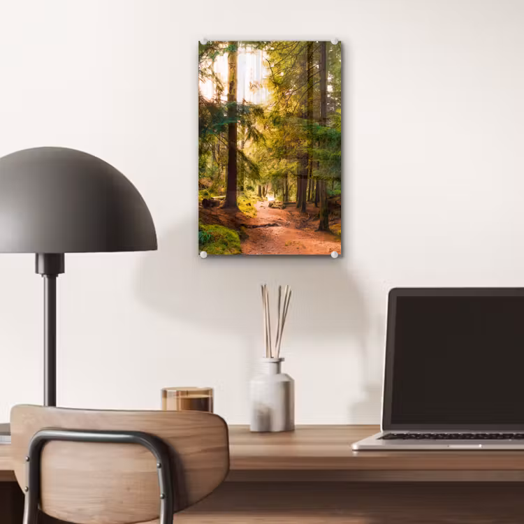 Glas schilderij - Bos - Pad - Bomen - Groen - Zon - Natuur — 7