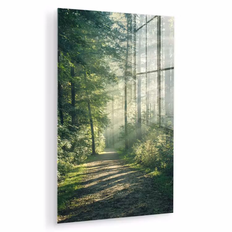 Glas schilderij - Bos - Pad - Zon - Bomen - Groen - Natuur — 1