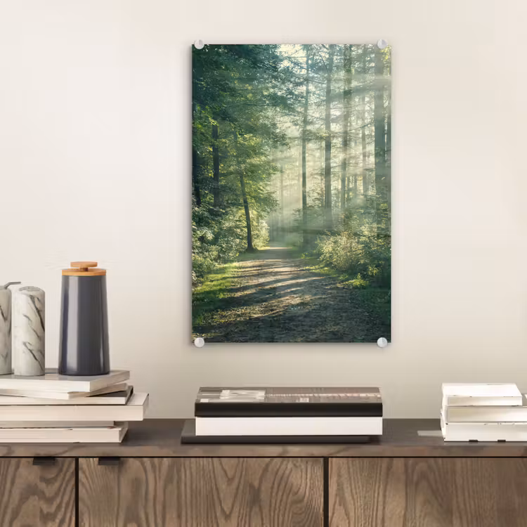 Glas schilderij - Bos - Pad - Zon - Bomen - Groen - Natuur — 2