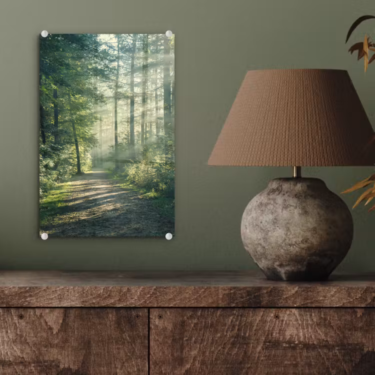 Glas schilderij - Bos - Pad - Zon - Bomen - Groen - Natuur — 4