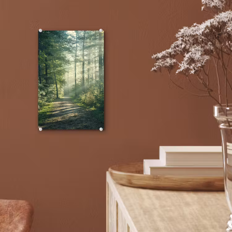 Glas schilderij - Bos - Pad - Zon - Bomen - Groen - Natuur — 6