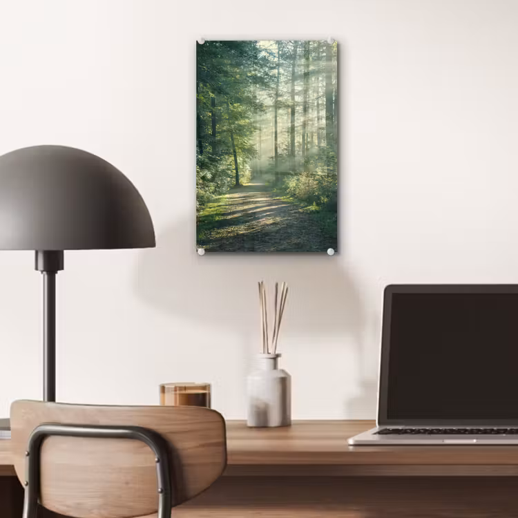 Glas schilderij - Bos - Pad - Zon - Bomen - Groen - Natuur — 7