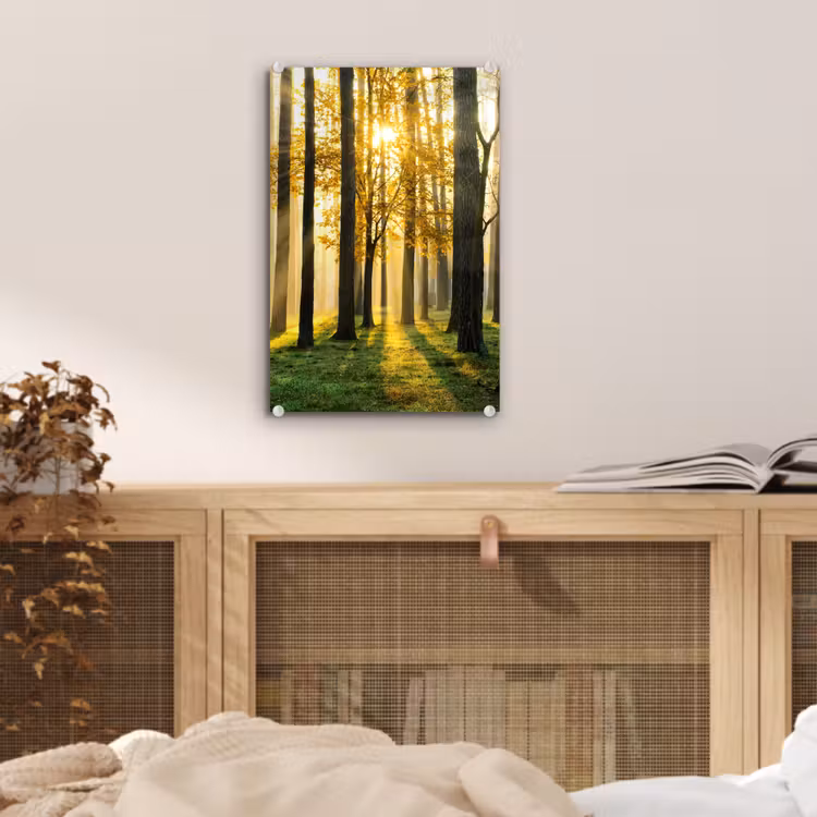 Glas schilderij - Bos - Zon - Bomen - Gras - Landschap - Natuur — 5