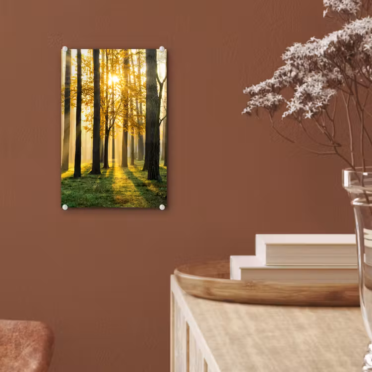 Glas schilderij - Bos - Zon - Bomen - Gras - Landschap - Natuur — 6