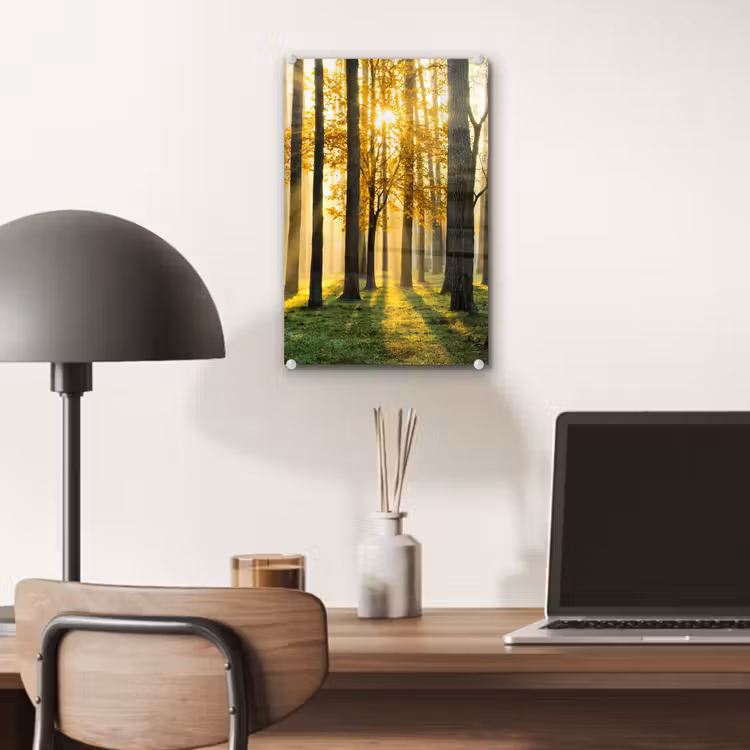 Glas schilderij - Bos - Zon - Bomen - Gras - Landschap - Natuur — 7