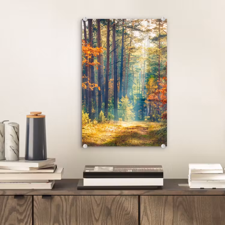 Glas schilderij - Bos - Zon - Natuur - Herfst — 2