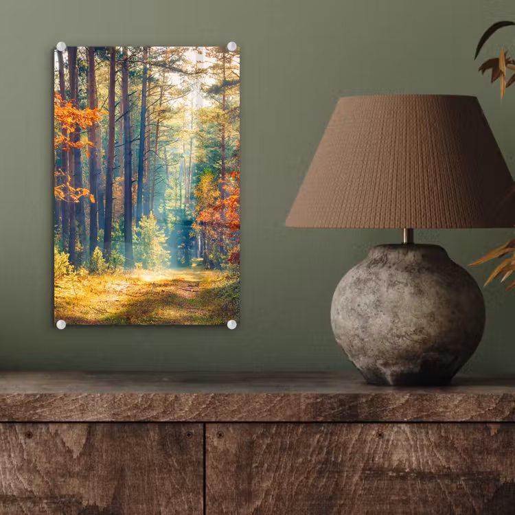 Glas schilderij - Bos - Zon - Natuur - Herfst — 4