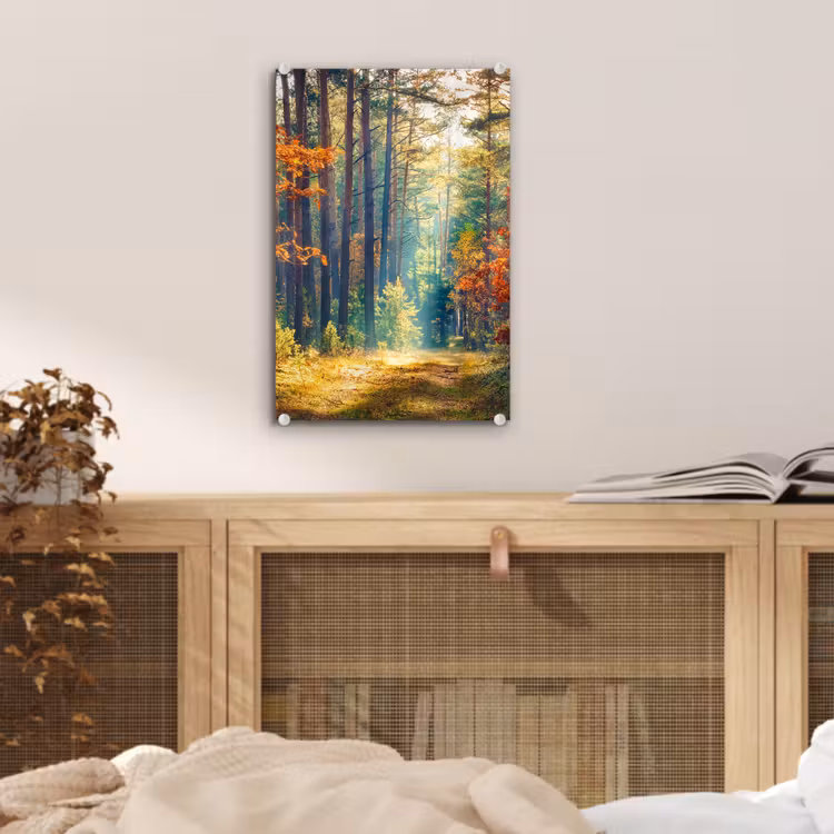 Glas schilderij - Bos - Zon - Natuur - Herfst — 5