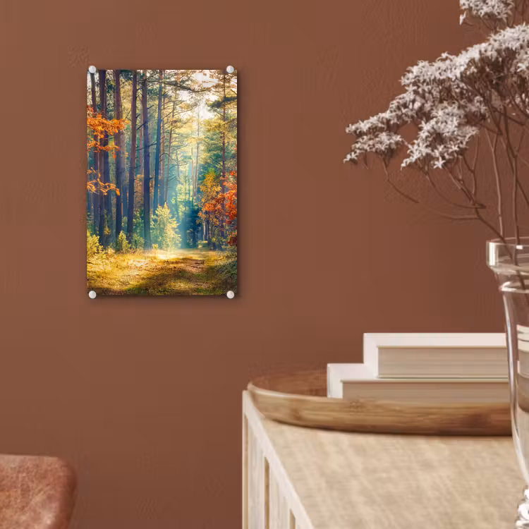 Glas schilderij - Bos - Zon - Natuur - Herfst — 6