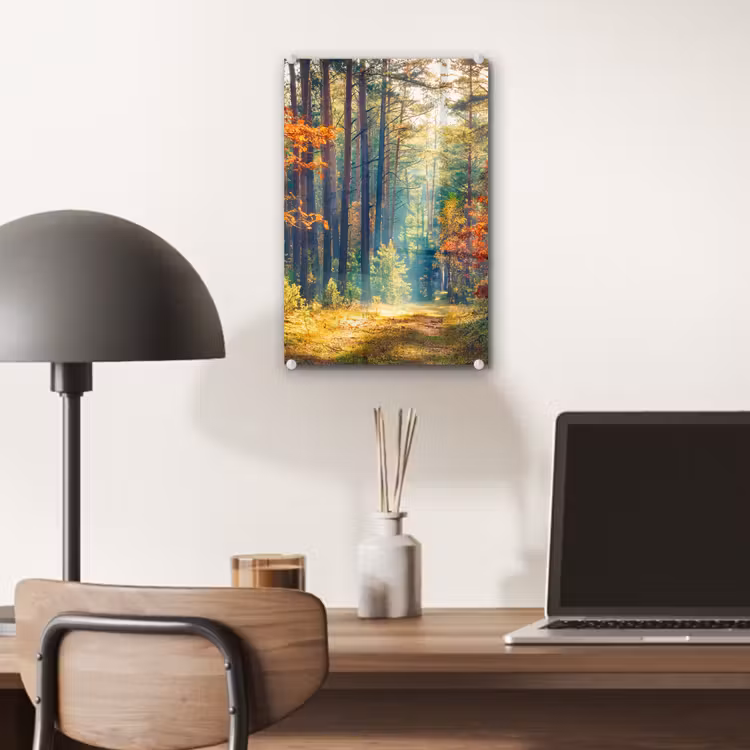 Glas schilderij - Bos - Zon - Natuur - Herfst — 7
