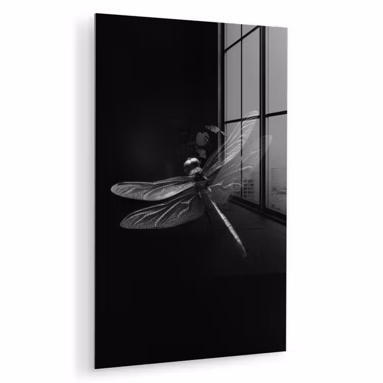 Glas schilderij - Libelle - Dieren - Zwart - Insect — 1