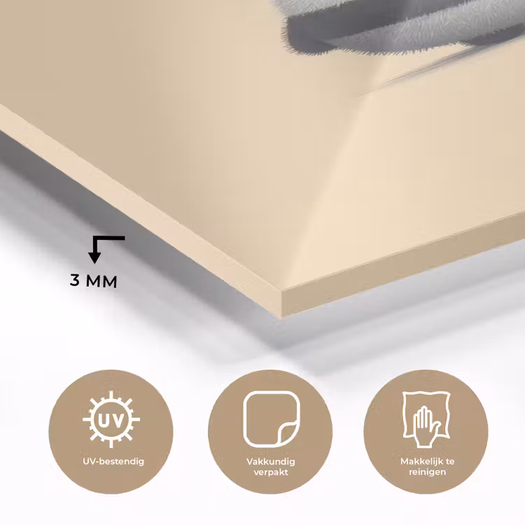 Glas schilderij - Panda - Beige - Minimalistisch — 3