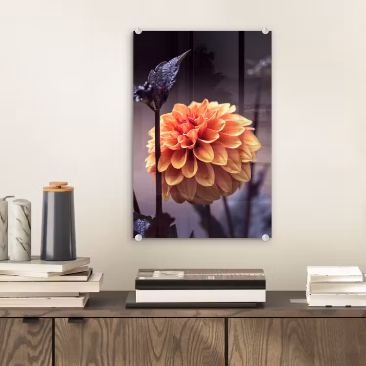 Glas schilderij - Bloemen - Chrysant - Macro - Planten — 2