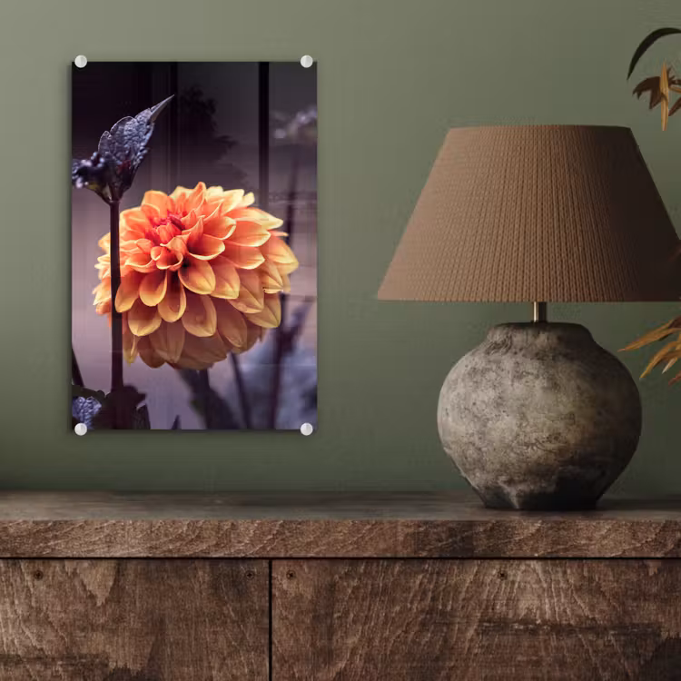 Glas schilderij - Bloemen - Chrysant - Macro - Planten — 4