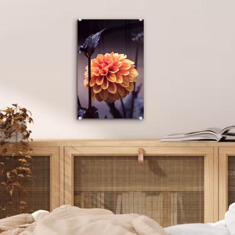 Glas schilderij - Bloemen - Chrysant - Macro - Planten — 5