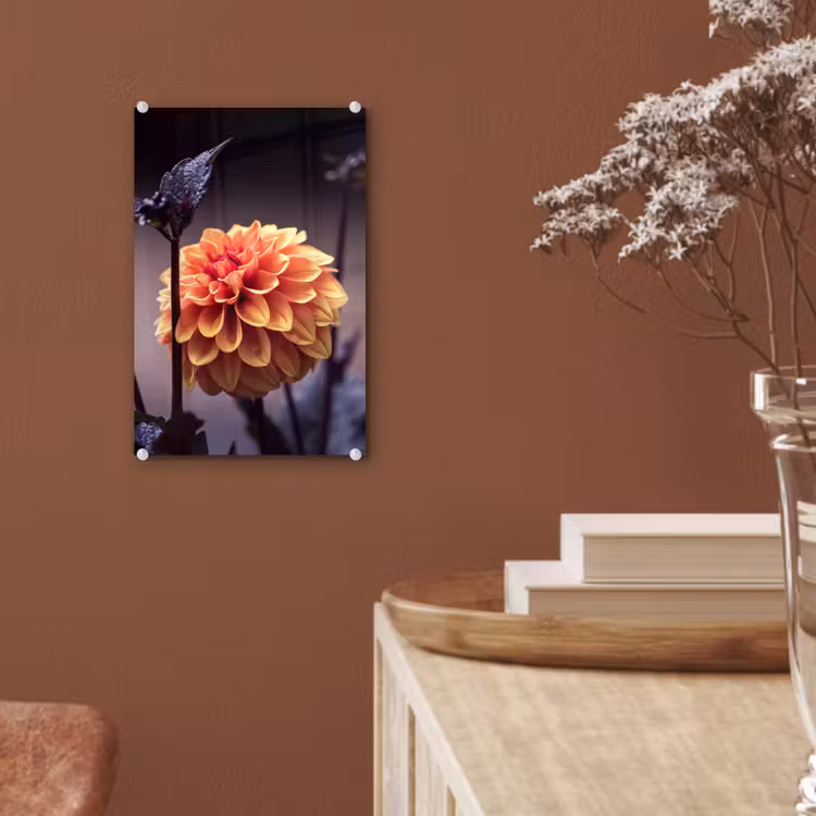 Glas schilderij - Bloemen - Chrysant - Macro - Planten — 6
