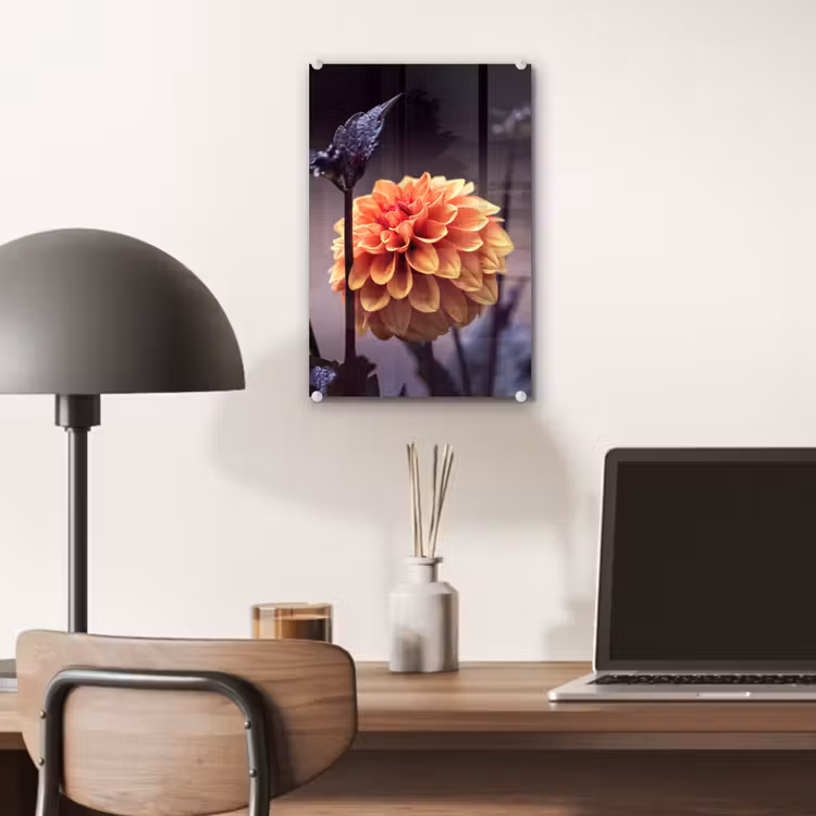 Glas schilderij - Bloemen - Chrysant - Macro - Planten — 7