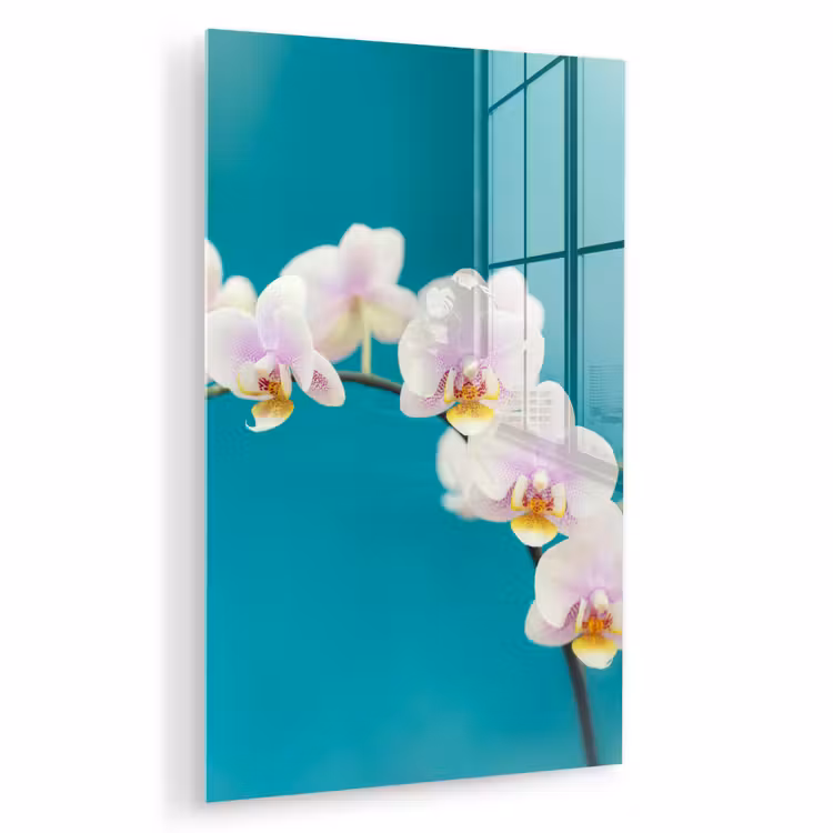 Glas schilderij - Orchidee - Bloemen - Plant - Wit - Paars — 1