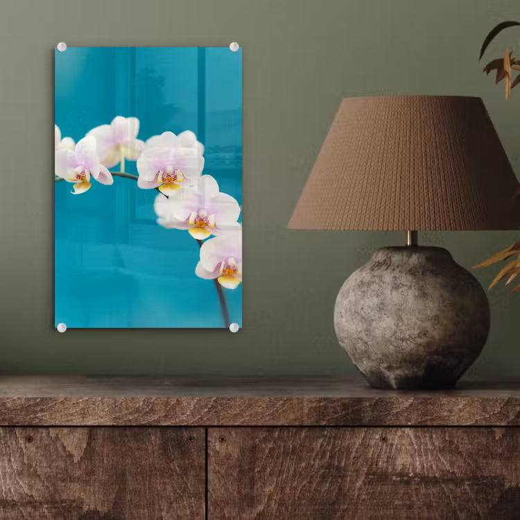 Glas schilderij - Orchidee - Bloemen - Plant - Wit - Paars — 4