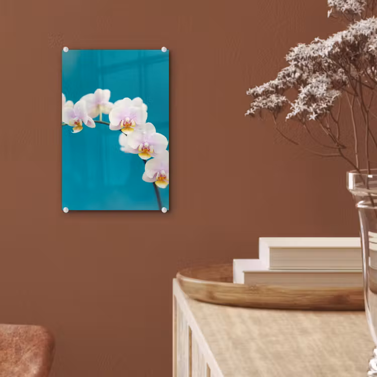 Glas schilderij - Orchidee - Bloemen - Plant - Wit - Paars — 6