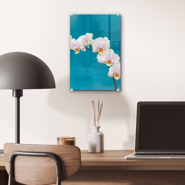 Glas schilderij - Orchidee - Bloemen - Plant - Wit - Paars — 7