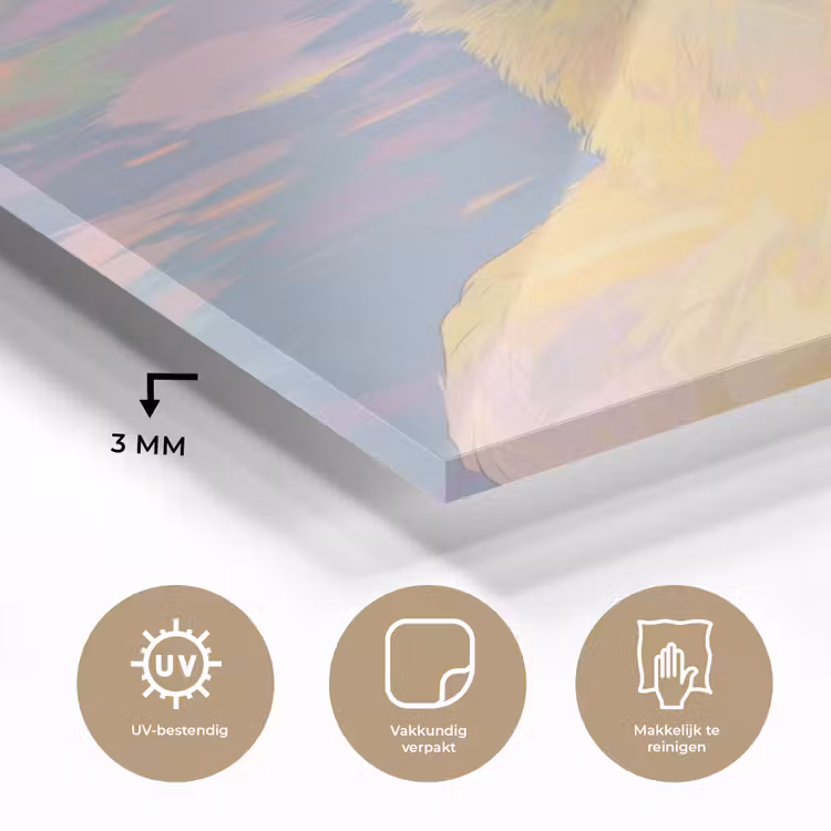 Glas schilderij - Eend - Zonnebril - Water — 3