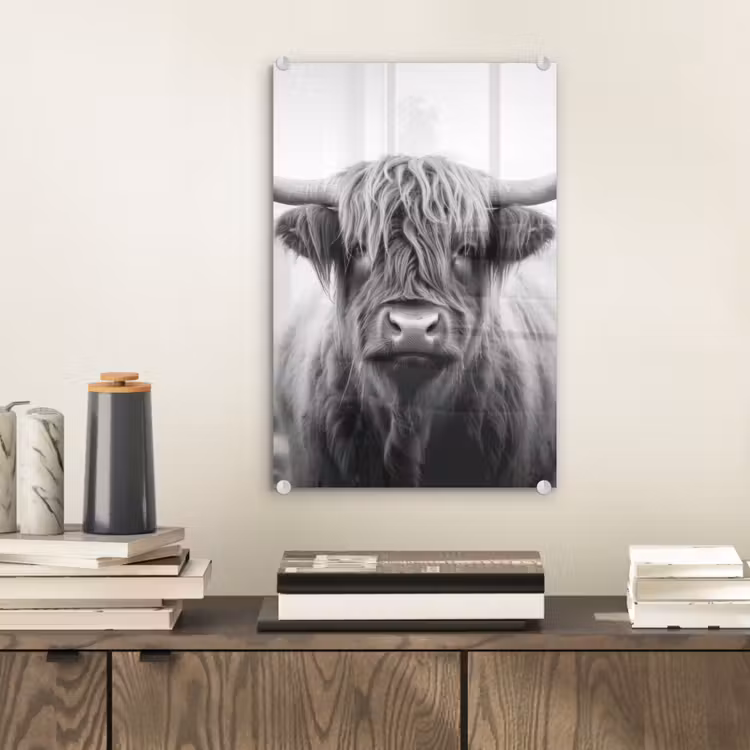 Glas schilderij - Schotse hooglander - Mist - Zwart - Wit — 2