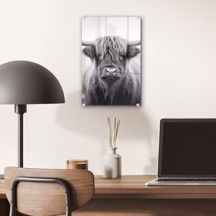 Glas schilderij - Schotse hooglander - Mist - Zwart - Wit — 7