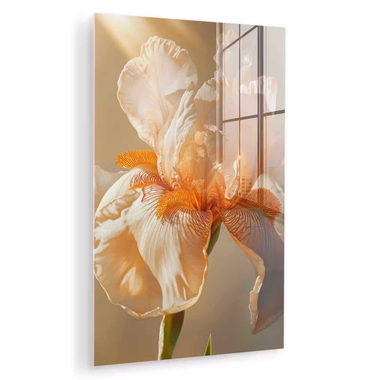 Glas schilderij - Close up - Oranje - Iris — 1