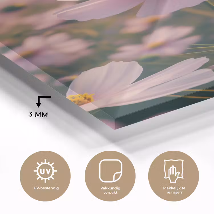 Glas schilderij - Bloemen - Paars - Wazig — 3