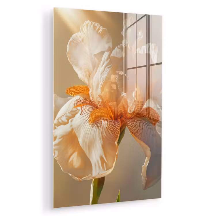 Glas schilderij - Close up - Oranje - Iris — 1