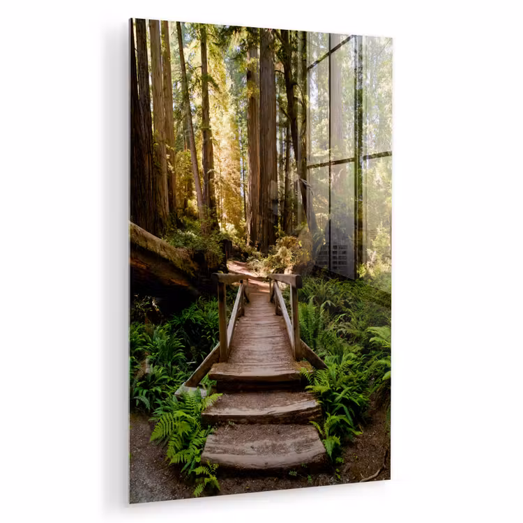 Glas schilderij - Jungle - Natuur - Trap - Bomen — 1