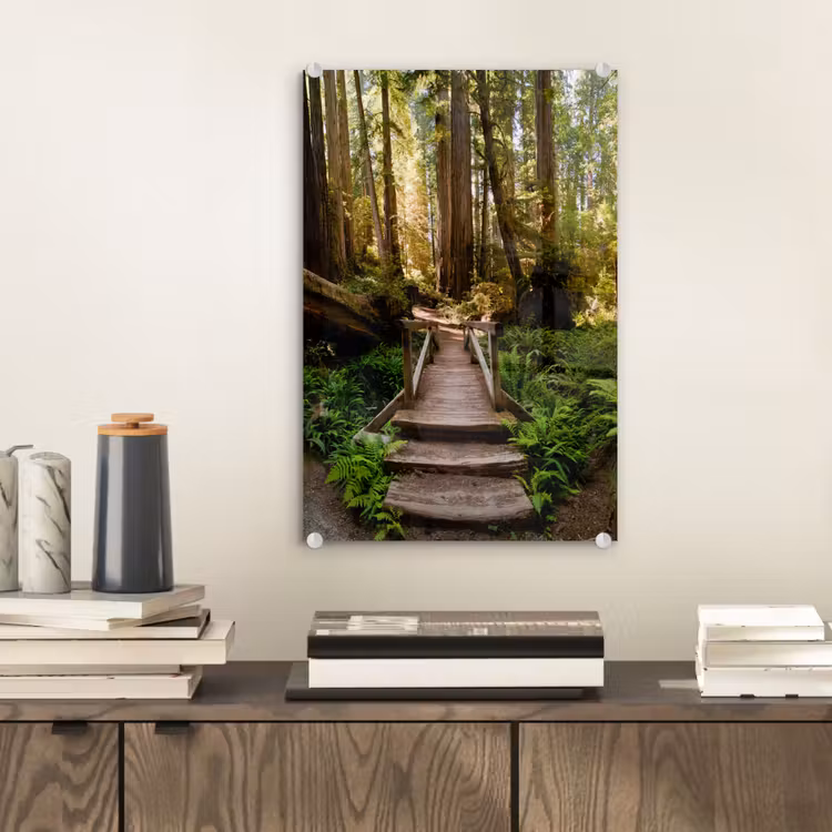 Glas schilderij - Jungle - Natuur - Trap - Bomen — 2