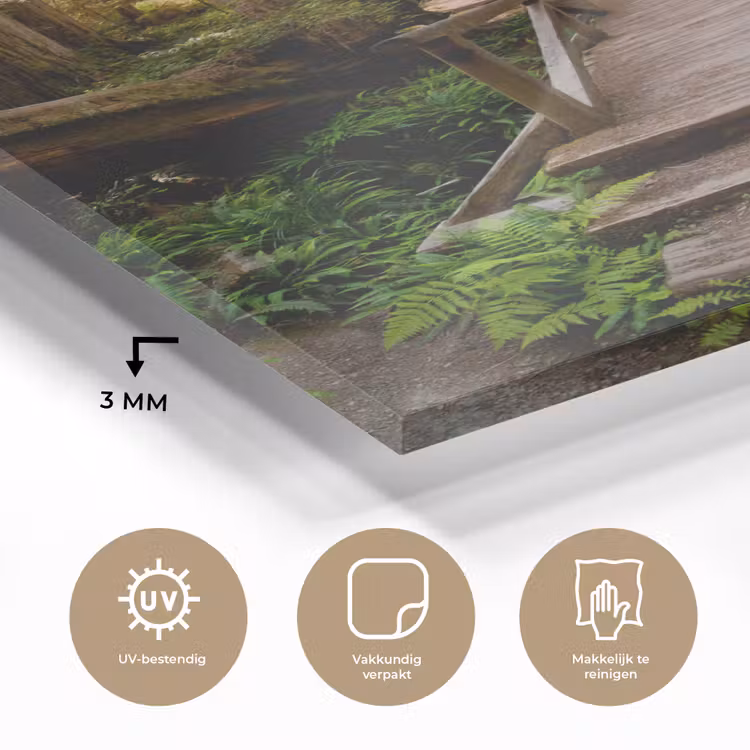 Glas schilderij - Jungle - Natuur - Trap - Bomen — 3