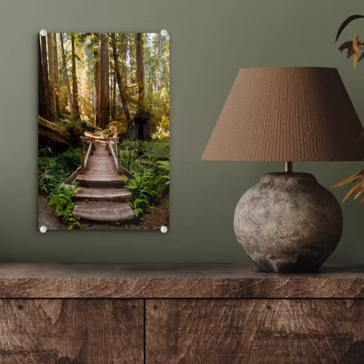 Glas schilderij - Jungle - Natuur - Trap - Bomen — 4