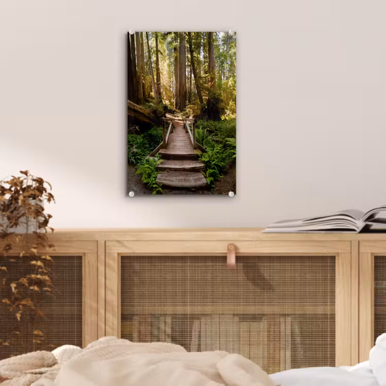 Glas schilderij - Jungle - Natuur - Trap - Bomen — 5