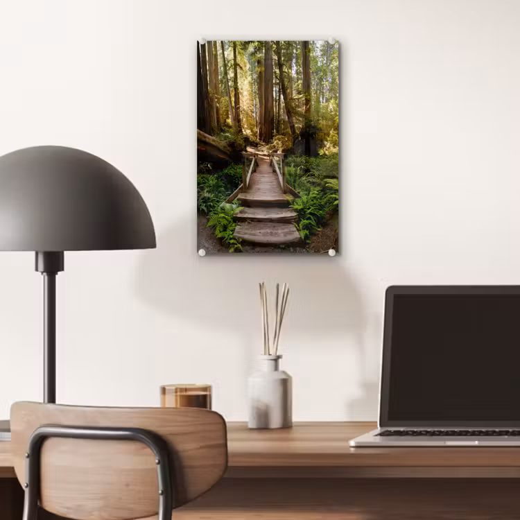 Glas schilderij - Jungle - Natuur - Trap - Bomen — 7