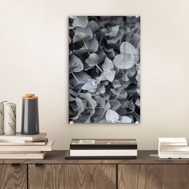 Glas schilderij - Natuur - Planten - Eucalyptus - Bladeren — 1