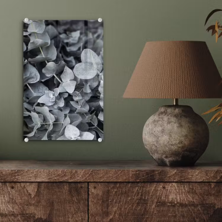 Glas schilderij - Natuur - Planten - Eucalyptus - Bladeren — 3