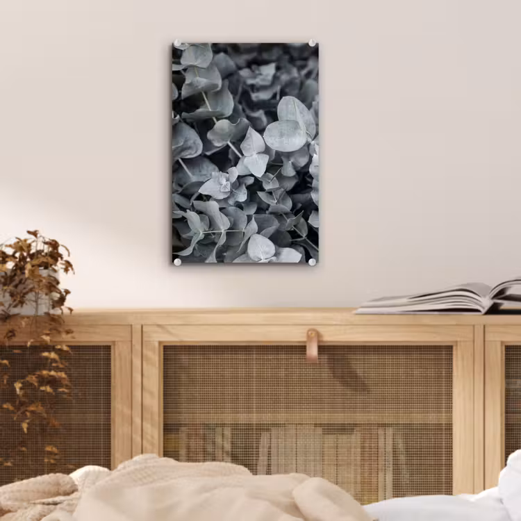 Glas schilderij - Natuur - Planten - Eucalyptus - Bladeren — 4