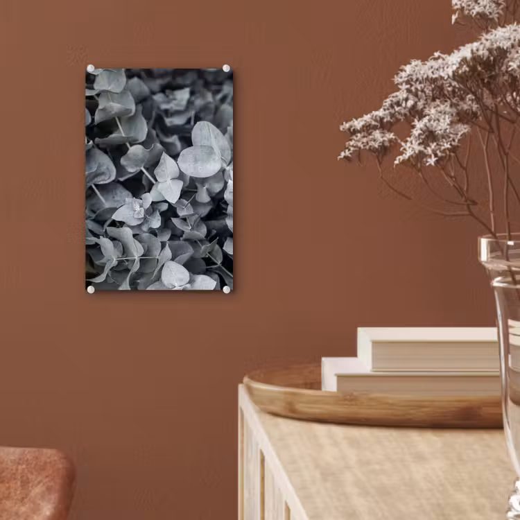 Glas schilderij - Natuur - Planten - Eucalyptus - Bladeren — 5