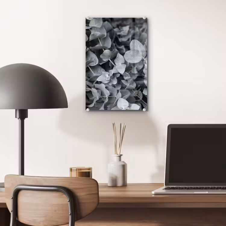 Glas schilderij - Natuur - Planten - Eucalyptus - Bladeren — 6