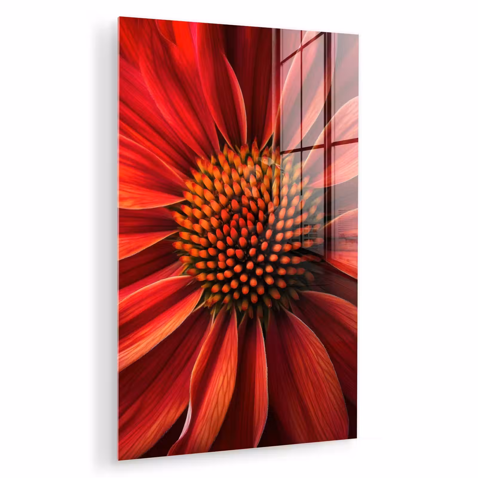 Glas schilderij - Close up - Bloem- Rood — 1