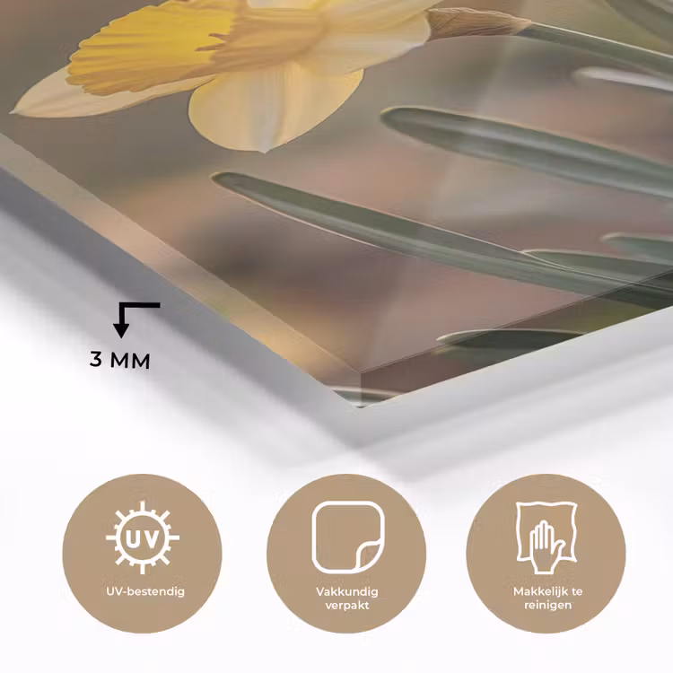Glas schilderij - Bloemen - Geel - Wazig — 3